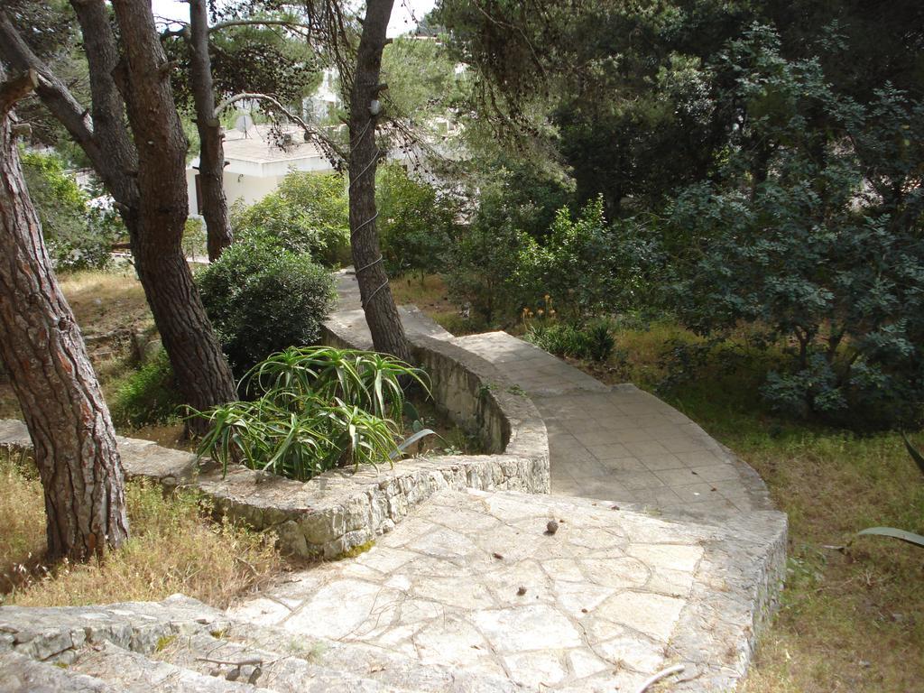 Trullo In The Wood Villa Nardò Eksteriør billede