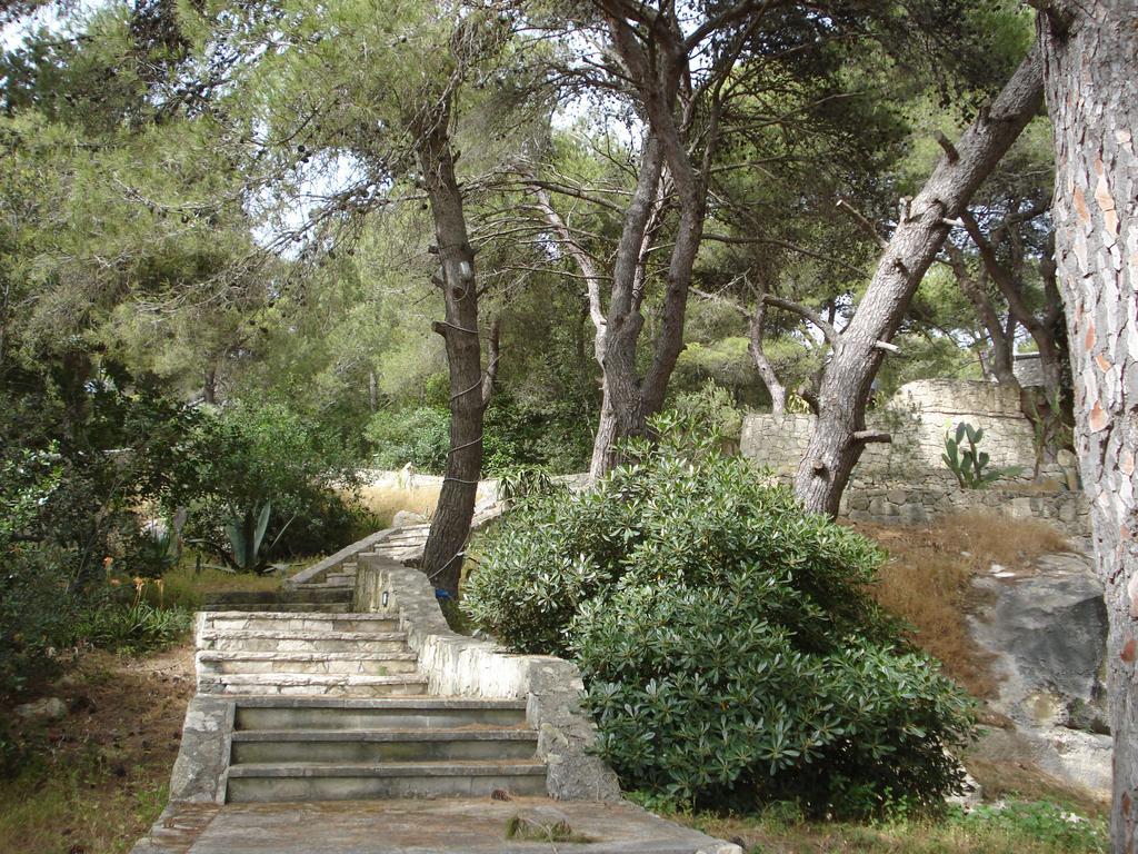 Trullo In The Wood Villa Nardò Eksteriør billede